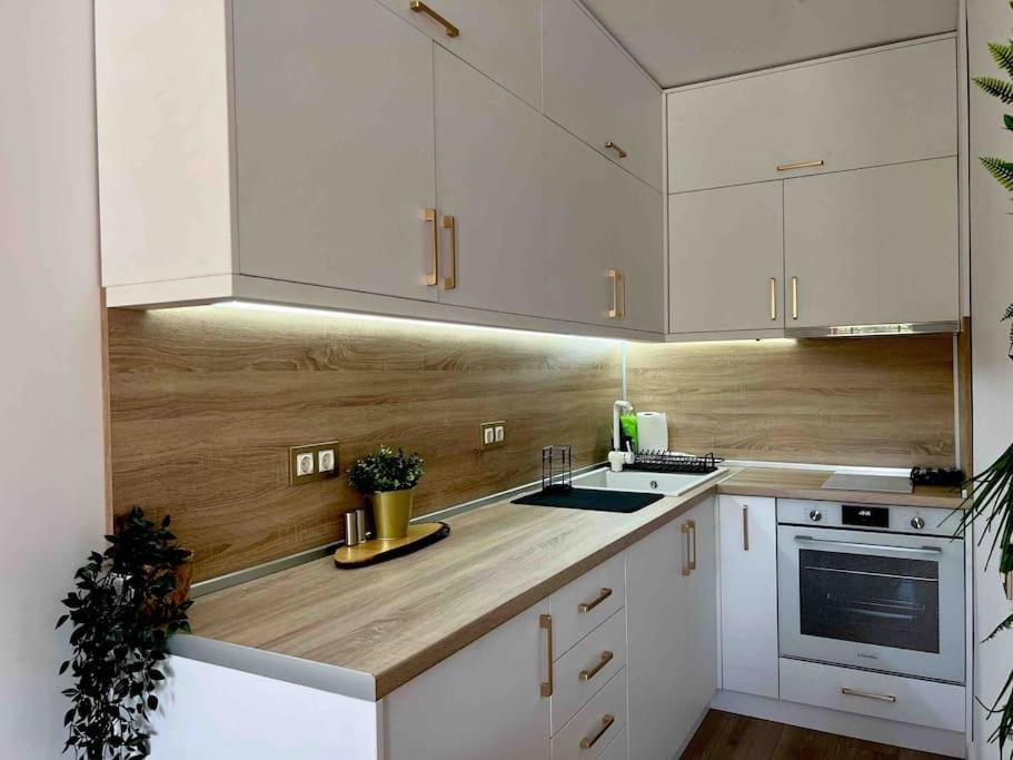 Cosy Appartement Green Life بانسكو المظهر الخارجي الصورة