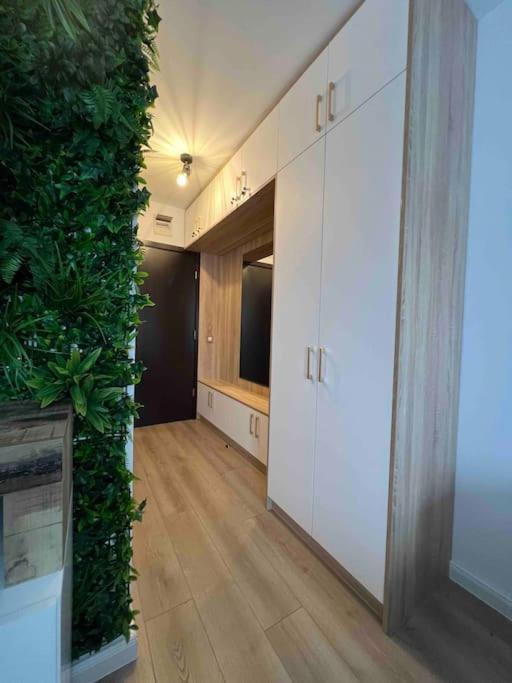 Cosy Appartement Green Life بانسكو المظهر الخارجي الصورة