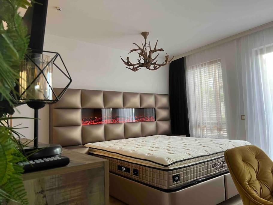 Cosy Appartement Green Life بانسكو المظهر الخارجي الصورة