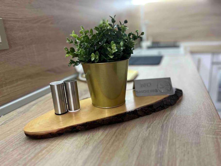 Cosy Appartement Green Life بانسكو المظهر الخارجي الصورة