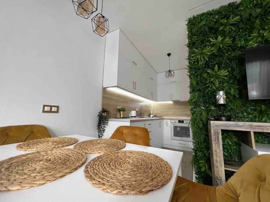 Cosy Appartement Green Life بانسكو المظهر الخارجي الصورة